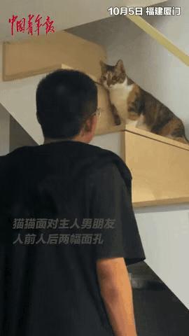 福建，女孩带男朋友回家，男朋友觉得女孩养的猫咪对他很友好，于是女孩提议让男朋友背
