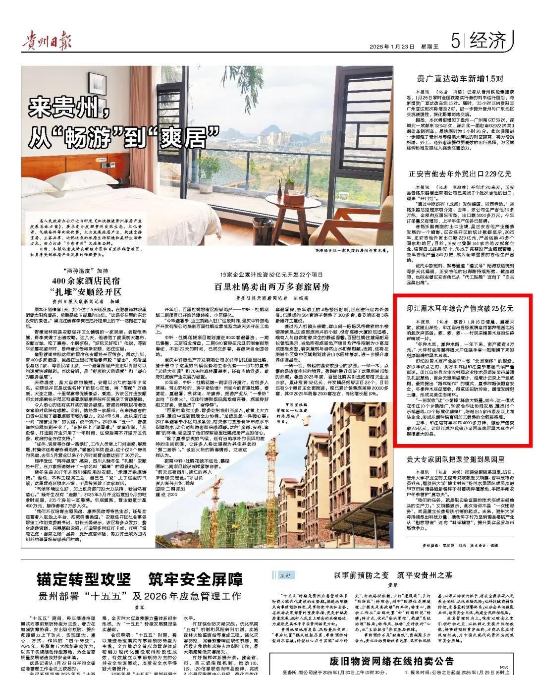 贵州印江的武陵山里，冬天一到，黑木耳就成了田里的“摇钱树”。清晨雾气还没散，村民