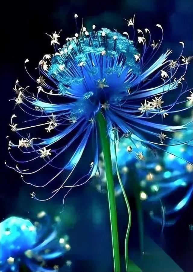 “滚去医院！”妻子拉黑了肝癌丈夫外人骂她心狠，病房里的人却懂。那大哥，酒