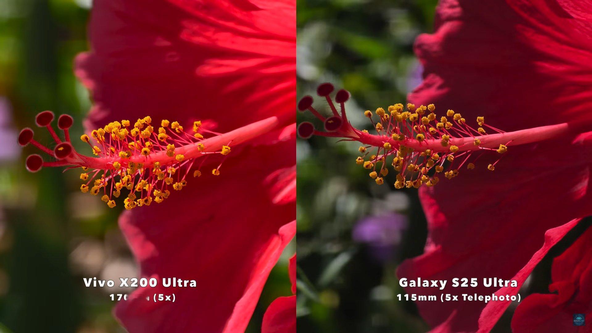 VivoX200Ultra大战GalaxyS25Ultra你觉得哪款更