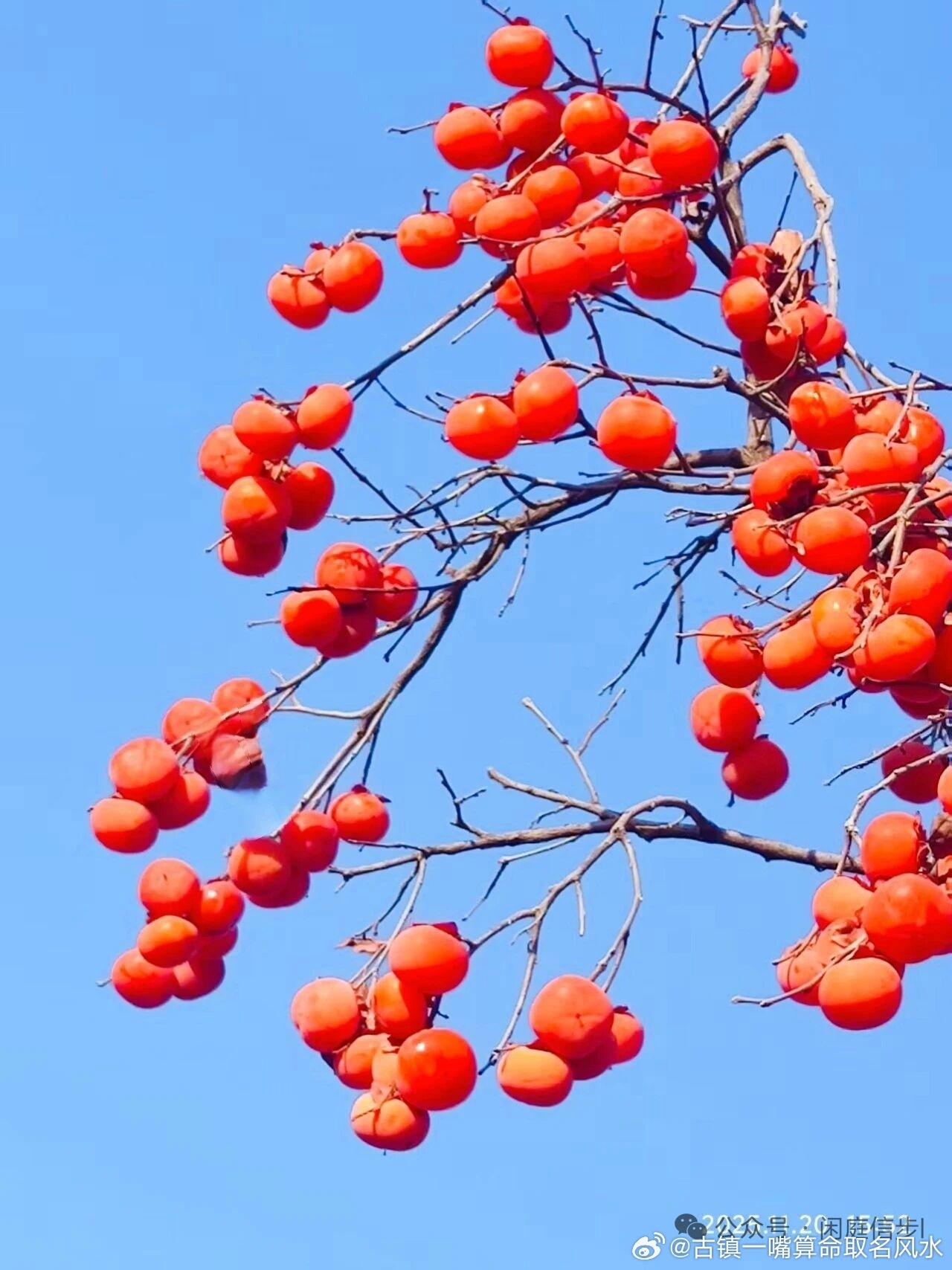 冷知识1.龌龊：牙缝为龌，牙根为龊。2.知识：认识为知，见解为识。3.门户：双扇