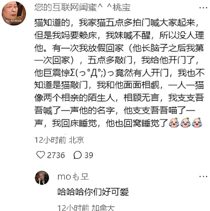 哈哈哈，你们好可爱