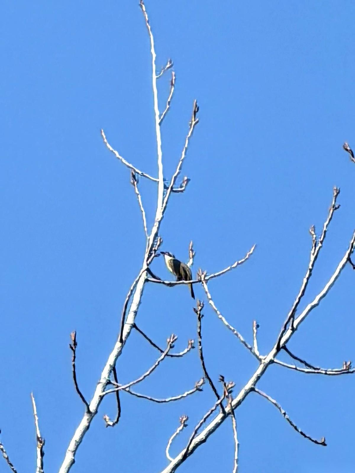 那天，我弯腰去够沙发底下的拖鞋，腰猛地一僵，半天没敢动。扶着膝盖慢慢站起来，一抬