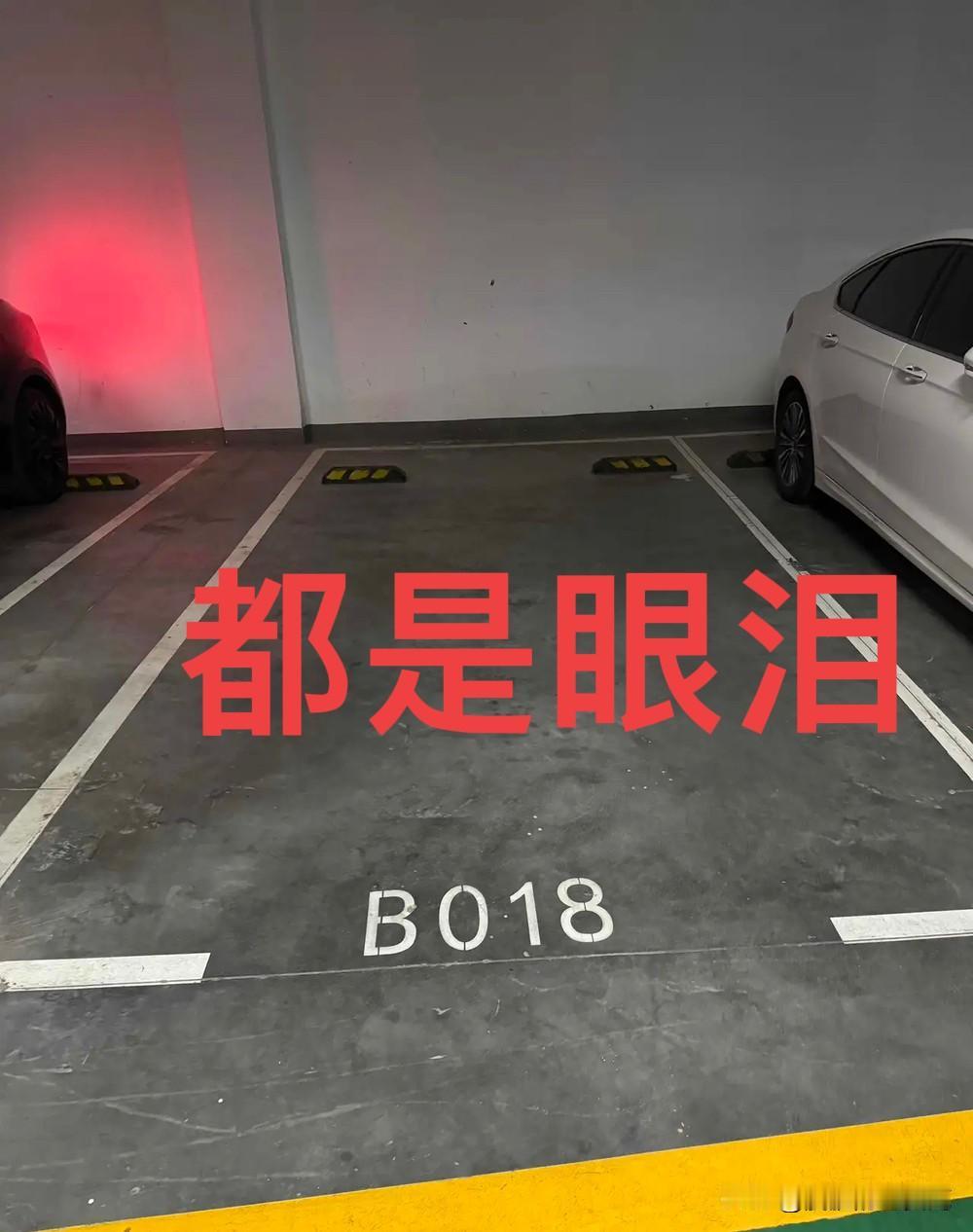 当年车位8万一个，买了就贴上你的车牌号。不买车位，就月租120，找到没有贴牌子的