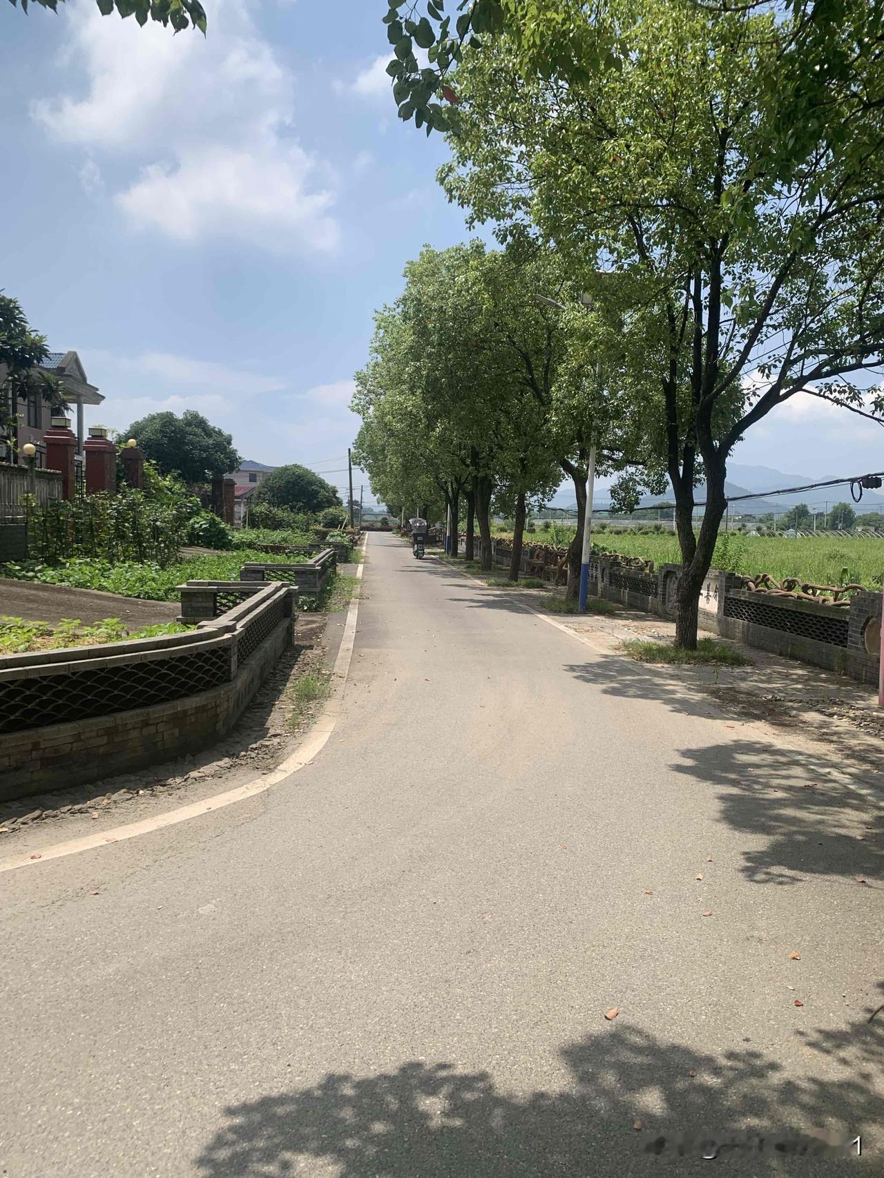 你觉得沈伯洋适合参选台北市长吗？台北市长的核心职责，是服务市民，办好城市民生