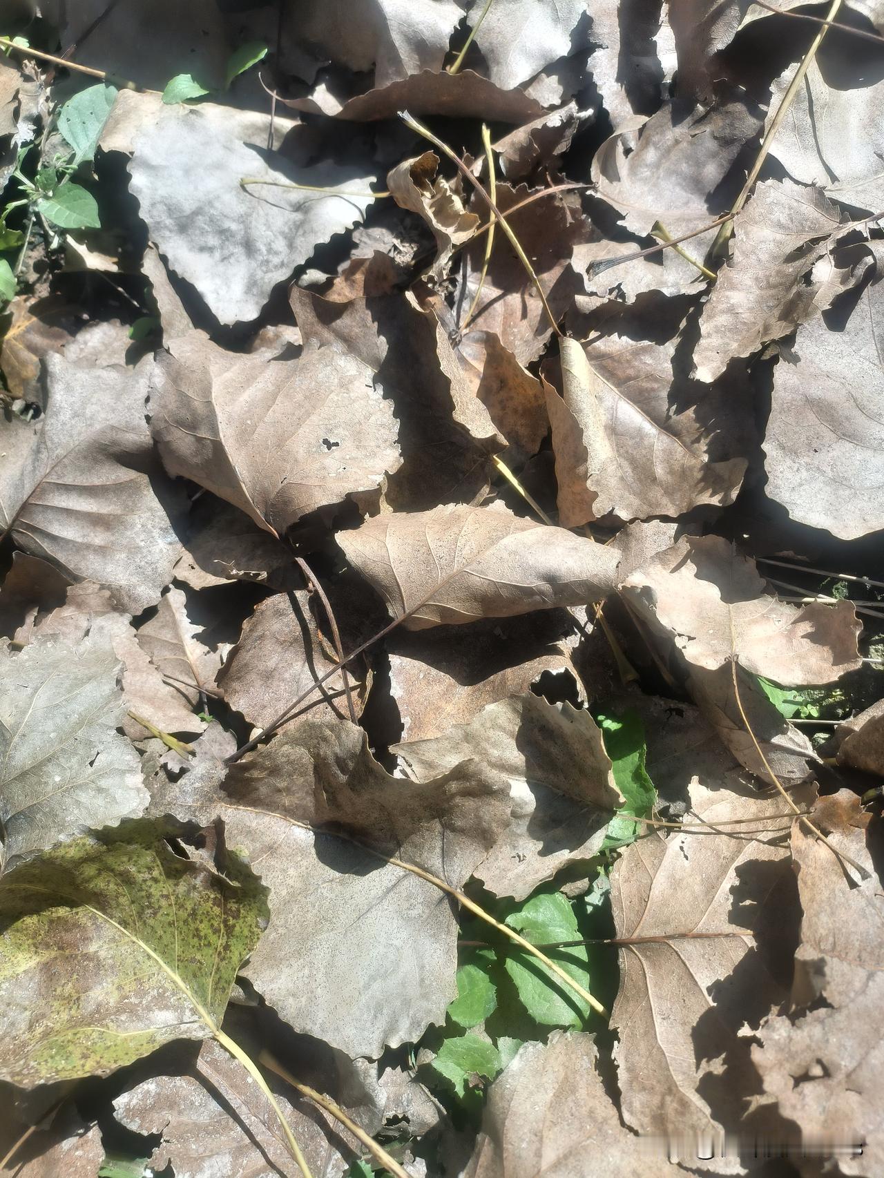 保洁员操作失误致同事坠亡后，他仍被冷漠主管要求继续工作：谁来阻止二次事故？