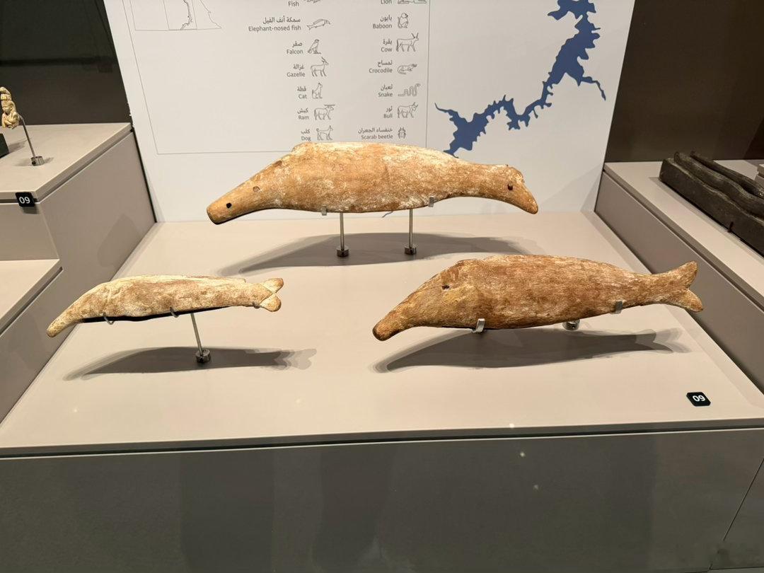 我发现古埃及人做木乃伊也是各种卷，图一老鹰木乃伊，图二鳄鱼木乃伊，图三仙鹤木乃伊