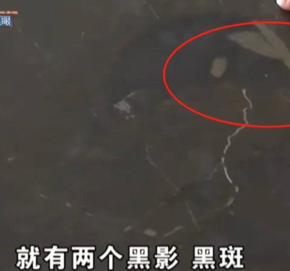 浙江杭州，方先生豪掷1700万买下368.38平精装房，收房却发现大理石地砖色差