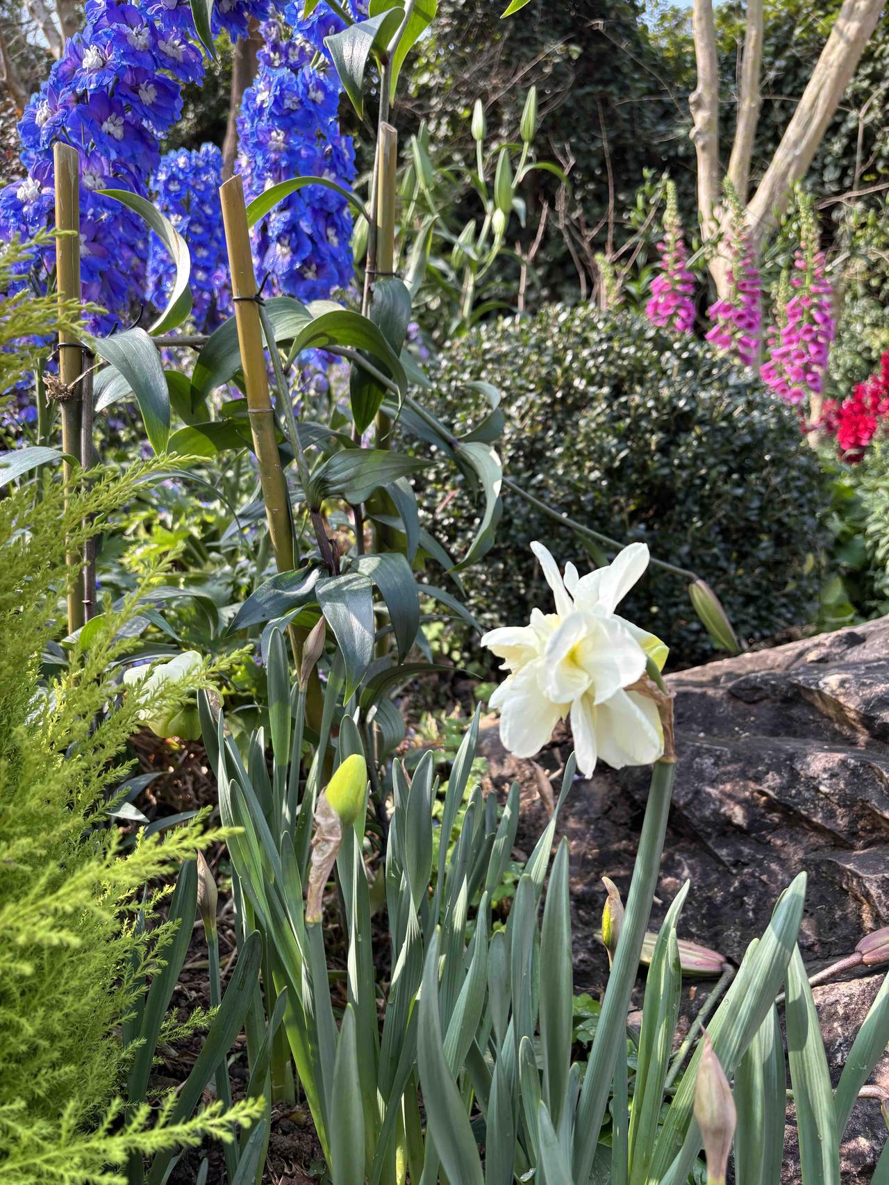 8句话讲清此次修改教师法的建议：1、明确教师公务员属性。2、提高教师学历门槛