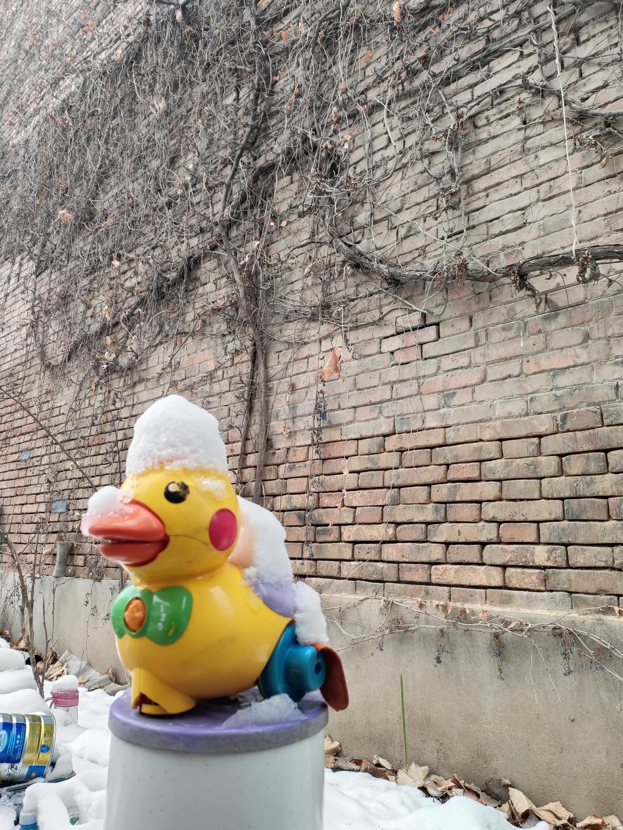 无人可依靠，唯一能依靠的只有自己人这一辈子啊，总有那么几个瞬间，觉得自己孤