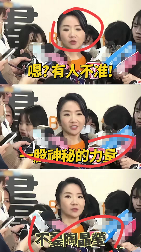 终于知道陶晶莹为什么崩溃了，原来不仅大陆封禁了她，连台湾省也封禁了她！她过往