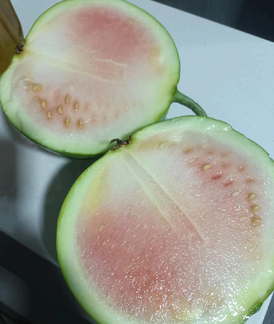 只有你想不到的，没有孩子做不到的，昨天在熟人超市买了个西瓜本来是不想买的，熟人