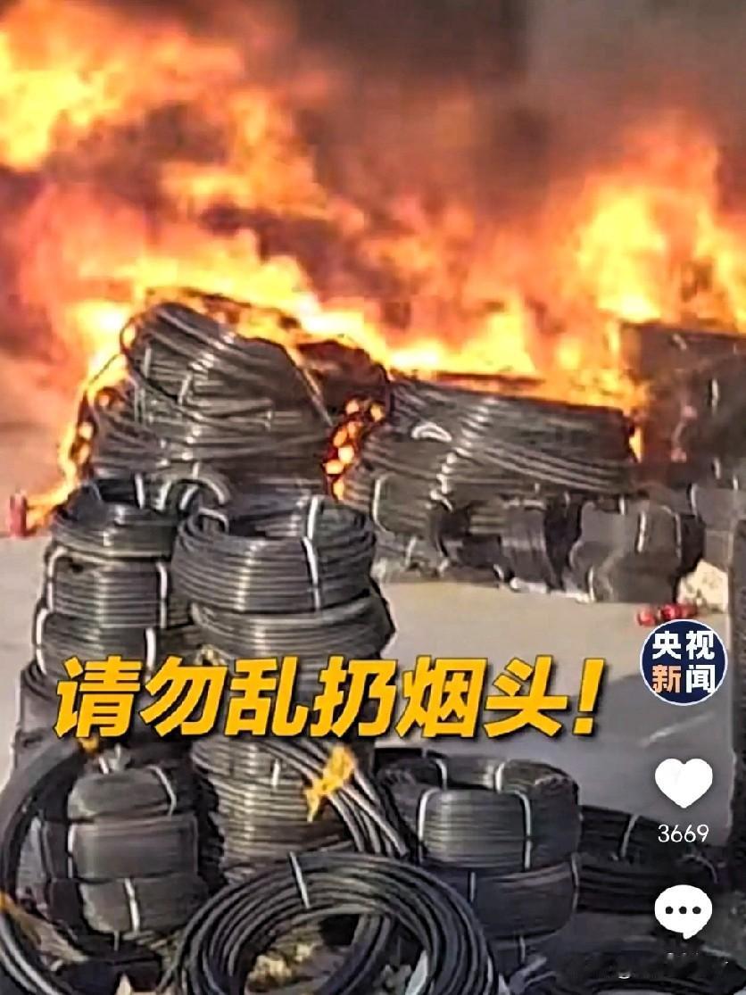 随手一丢，212万没了！温州这哥们用个烟头，给全国人民上了一堂最贵的课。你以