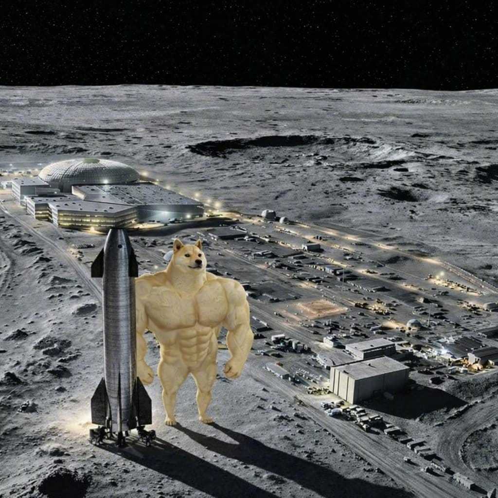 马斯克改口了。那个喊了20年移民火星的人，把口号换成了Themoonfir