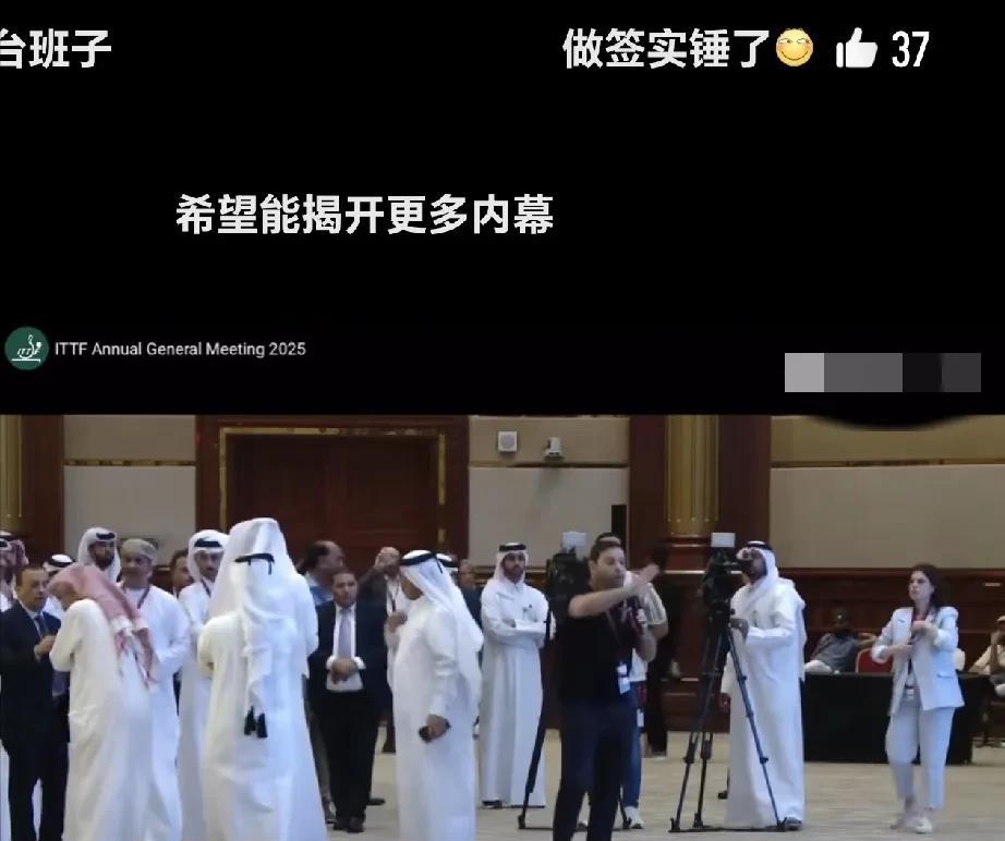 国际乒联，演都不演了，不让刘国梁当主席就算了，一共就那10几个人投票，竟然还