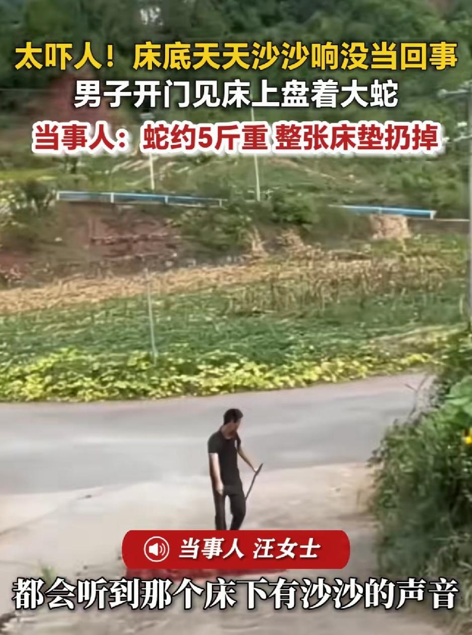 贵州桐梓，一女子发视频称，最近老听见家中一楼卧室里的席梦思床垫传出“沙沙”声，起