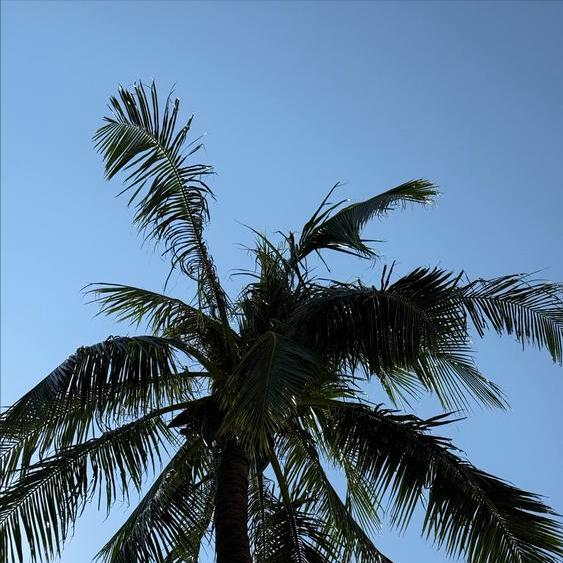 释永信涉嫌3个恶名  永远钉在少林寺的耻辱柱 释永信涉嫌3个恶名： 一