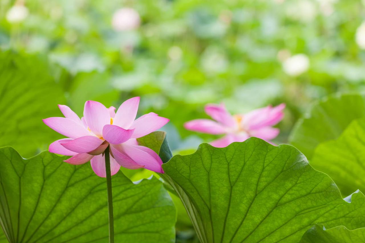 昨天一个学生过来跟我谈心，对未来的职业选择有点迷茫，我个人建议，如果能够学理科的
