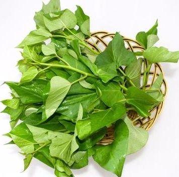 蔬菜你还只吃菠菜? 别忘了它被称为“顶级人参”, 蔬菜皇后