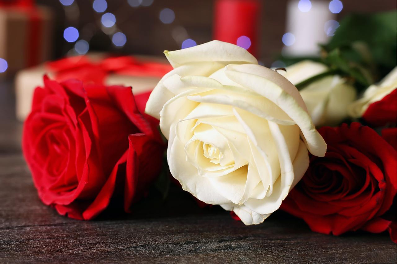 年轻时，很多人不懂这一点，等懂得时，已步入中年。就拿张爱玲一生的遭遇来说吧，