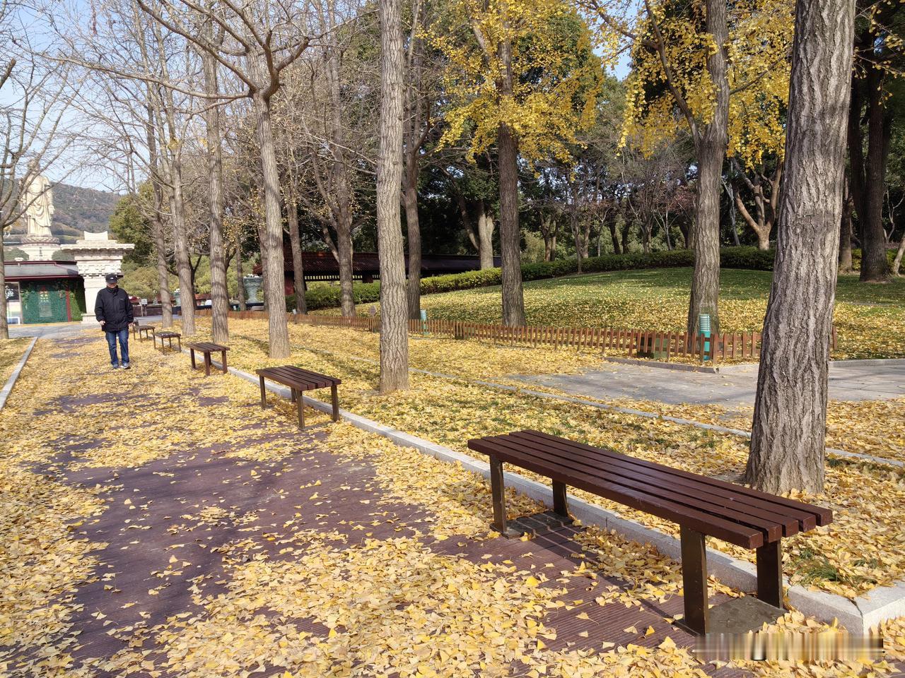 都说富贵在天，生死由命。48岁的徐熙媛走了，50岁的朱媛媛走了，61岁的何晴也走