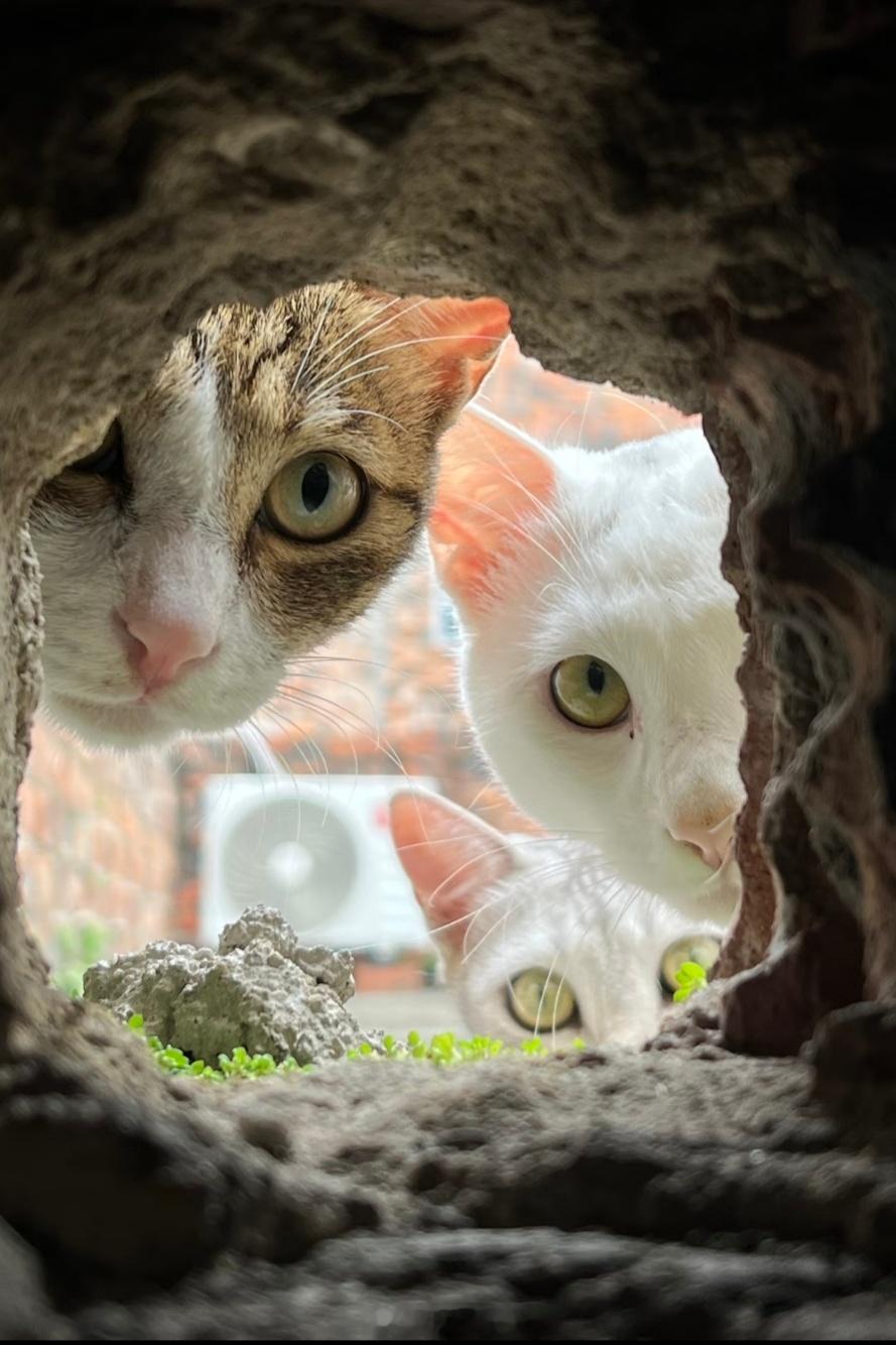 早上好，别睡啦！你再不起我可要进来了[笑着哭]​​​