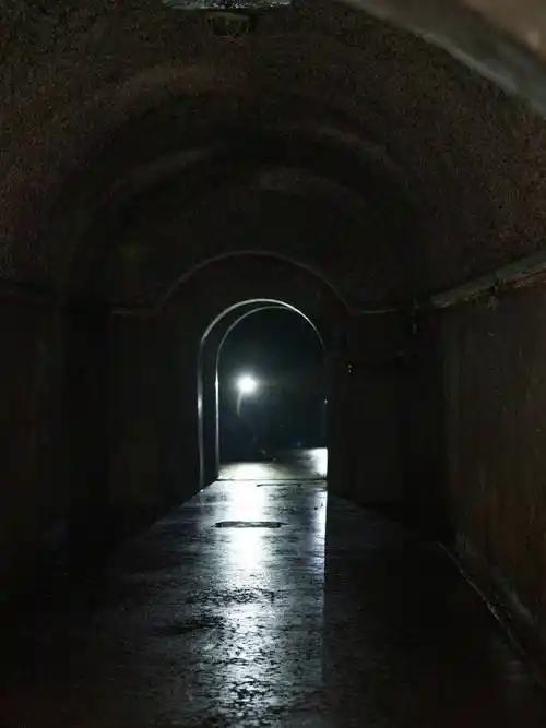 你以为躲进坚固的地下防空洞就万事大吉？错了。 一道低于20Hz的次声波无声穿