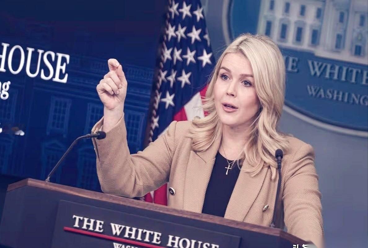 就因为看上人家一大块地，想买，人家不卖。气得转头就跟八个国家翻脸了。你说这事