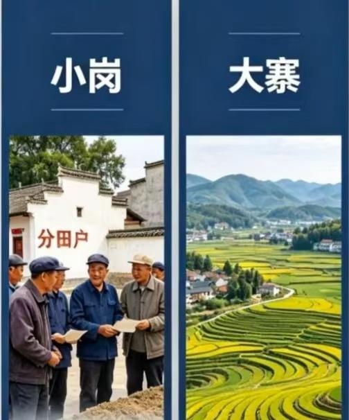 安徽小岗村得天独厚，115口人坐拥上千亩良田，人均耕地接近10亩，土地条件堪称优