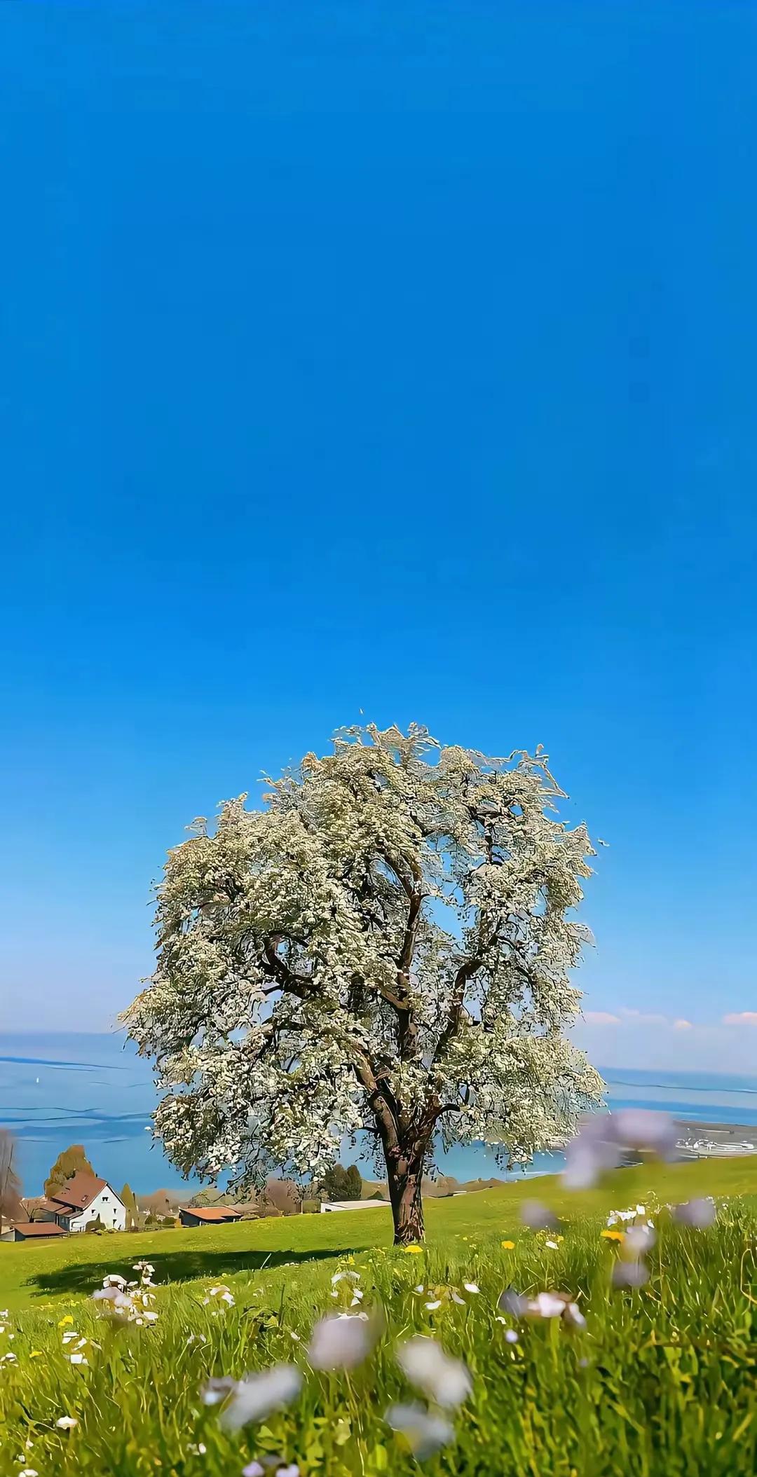 人民日报:不要烂在家里，人必须要出门，才能感觉自己是在活着。你只有经常出门，去