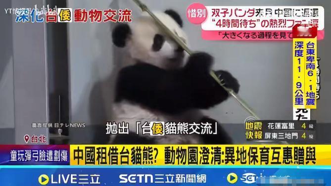 大陆反对台湾熊猫送给日本，台北动物园：熊猫是台湾的大陆管不着！说白了，台北动
