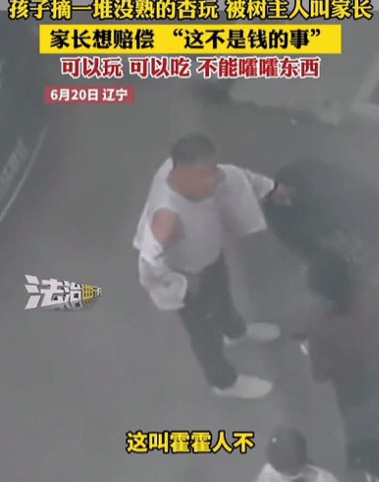 辽宁，女孩看到一颗杏树，好奇摘下一堆玩，不料，树主人发现后，竟然叫来女孩家长，当