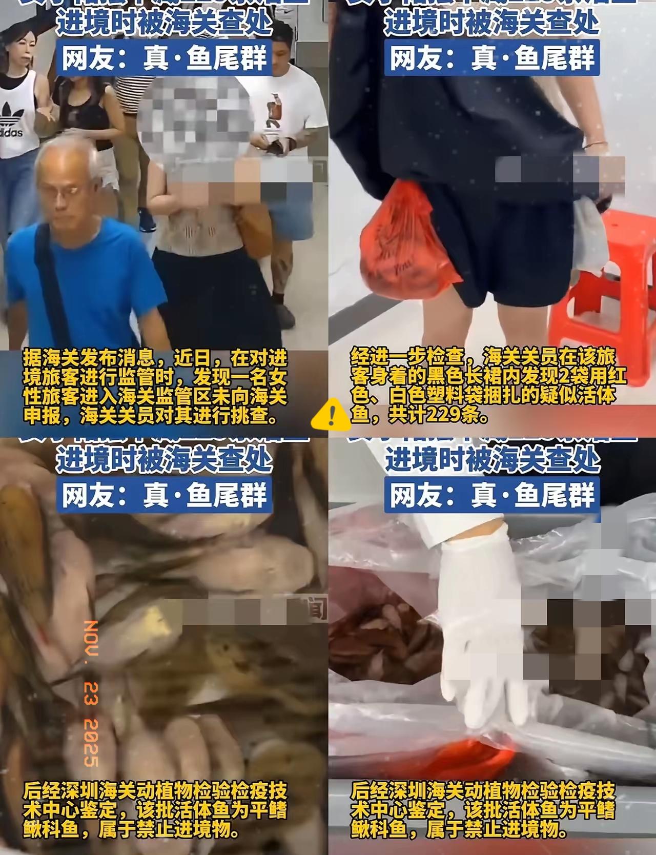 这下出名了，不仅深圳，全国人民都知道了！女子仅靠两个塑料袋，竟然携带229条