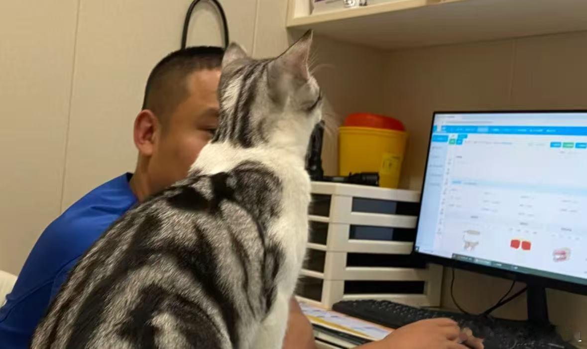 小猫自己的身体自己关心[doge]​​​