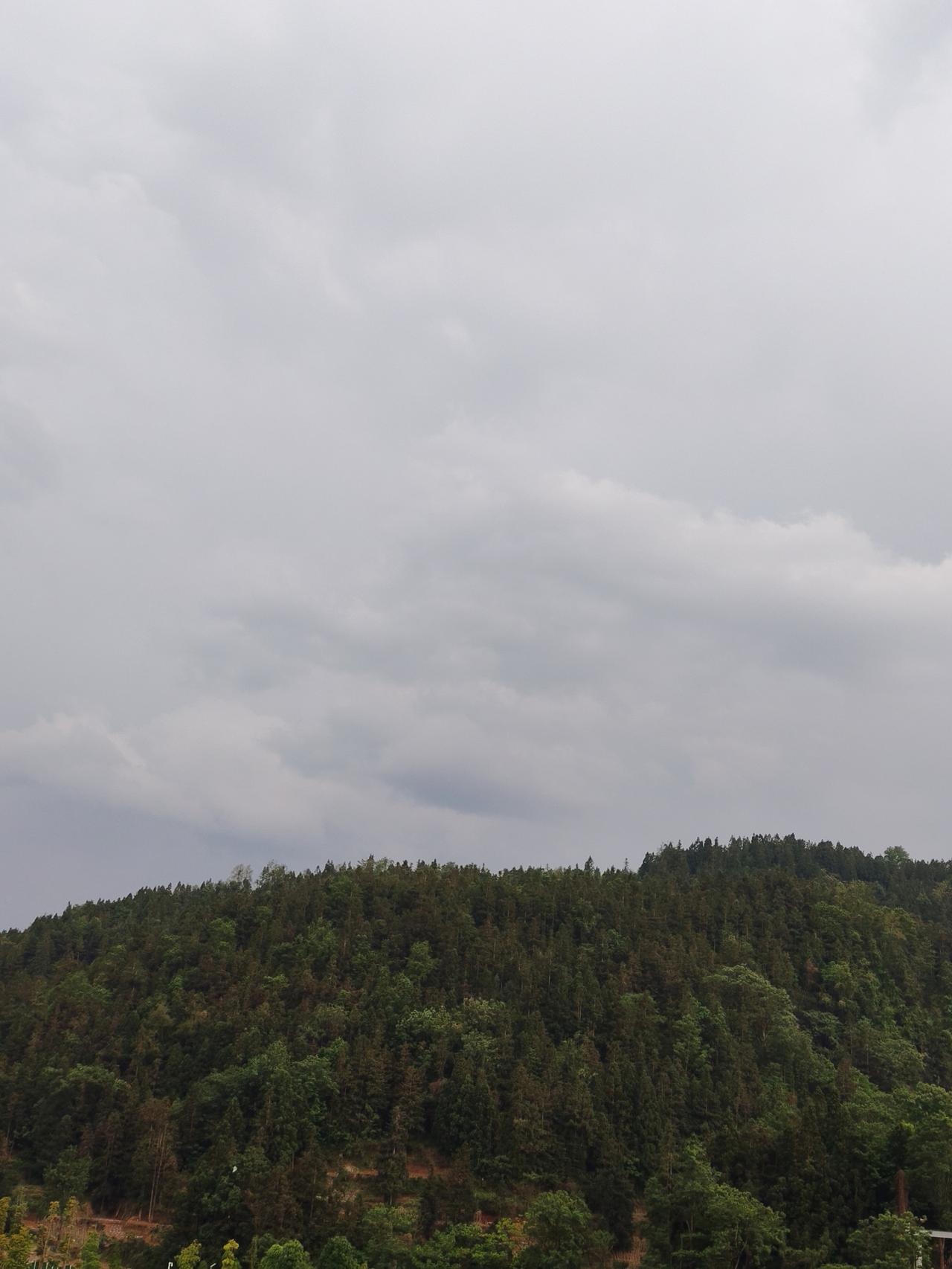 A股白马股之所以长期下跌，无非就这两个原因！1，体量太大，没有资金愿意关注。