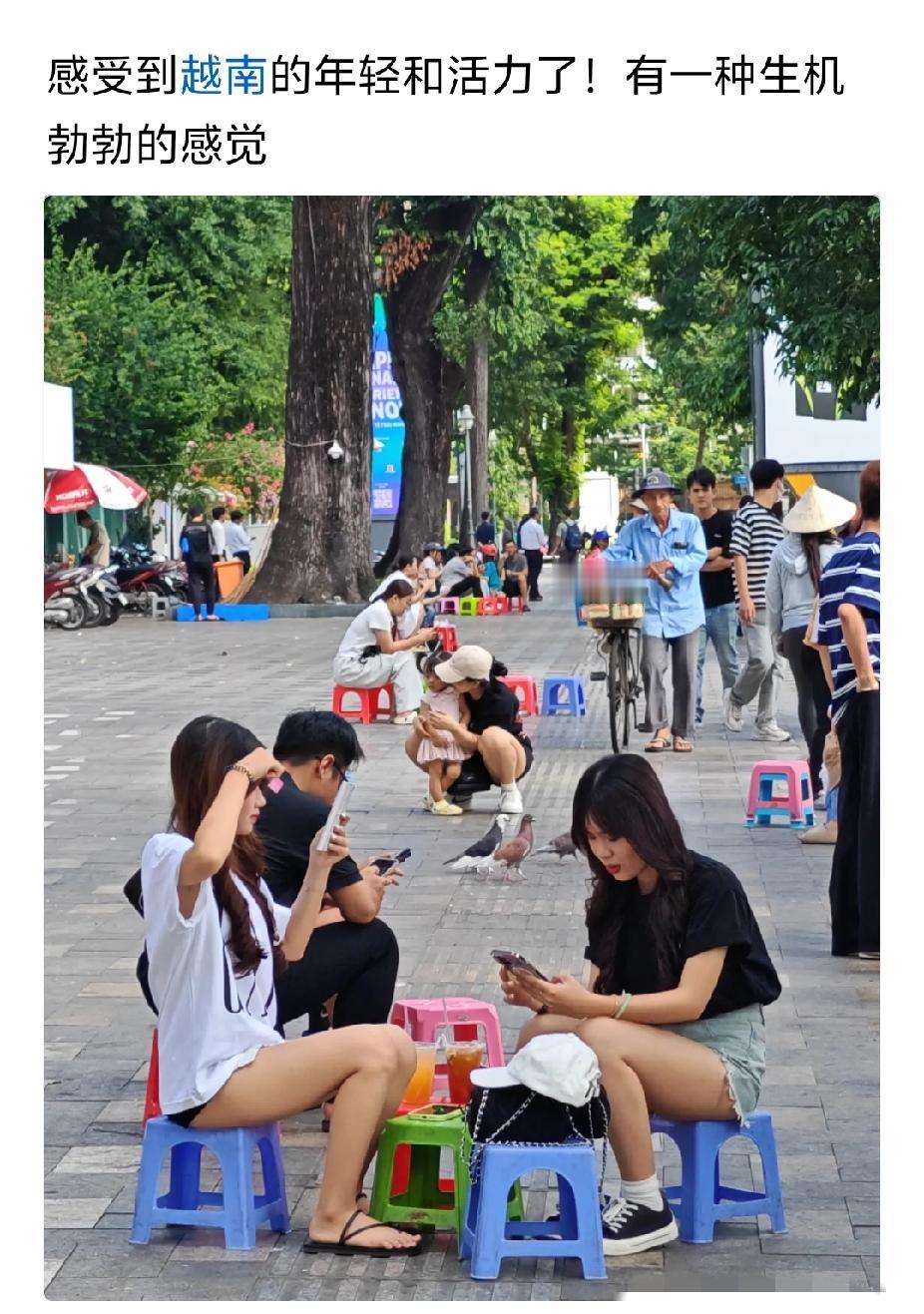 为什么我国两广及云贵居民大多黑瘦，纬度更低的越南人看起来却更加高大白皙？