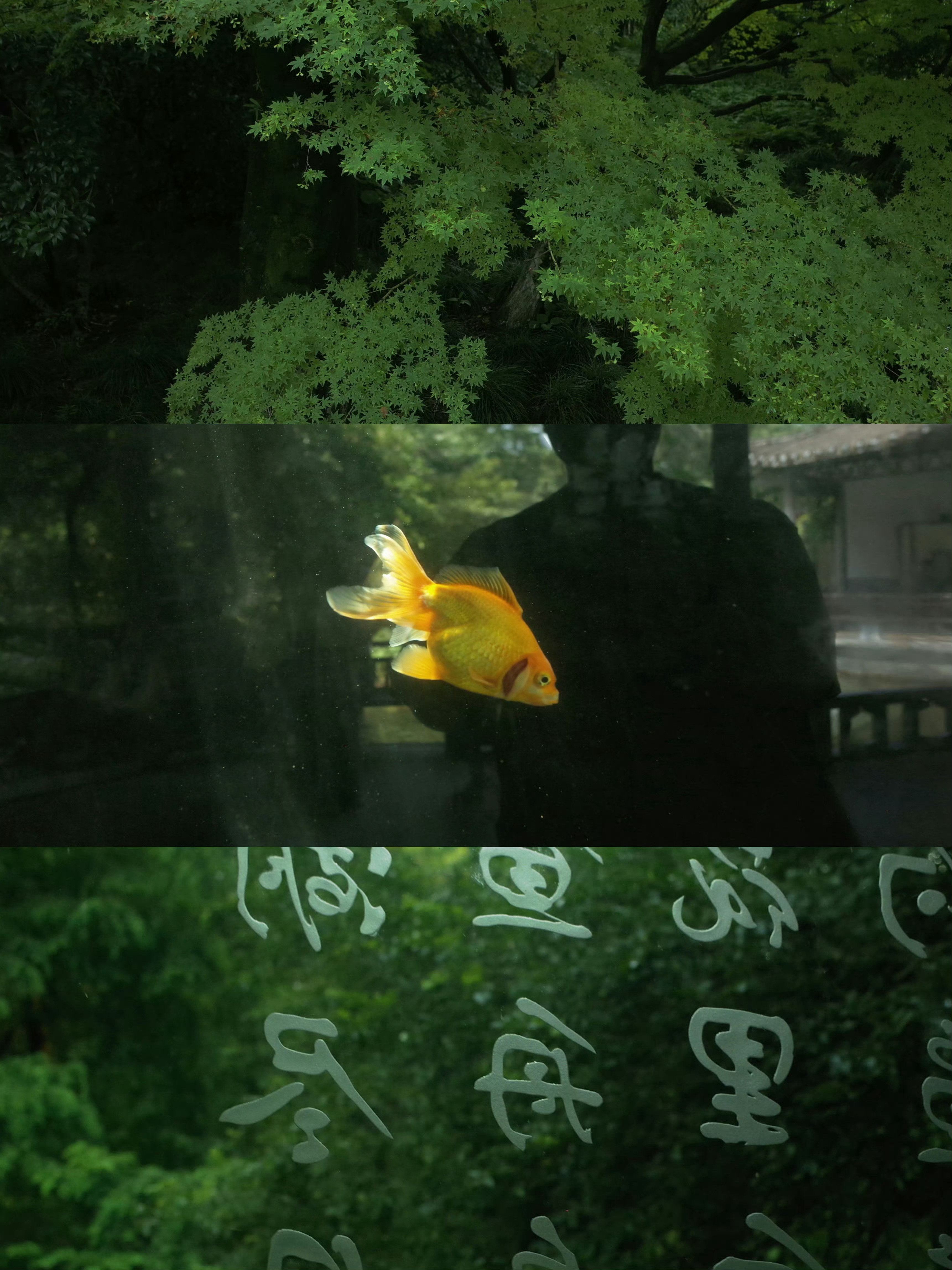 桃花绿意一旦浓稠起来，就不再是颜色，而是一种有重量的清凉。走进树荫深处，闷热