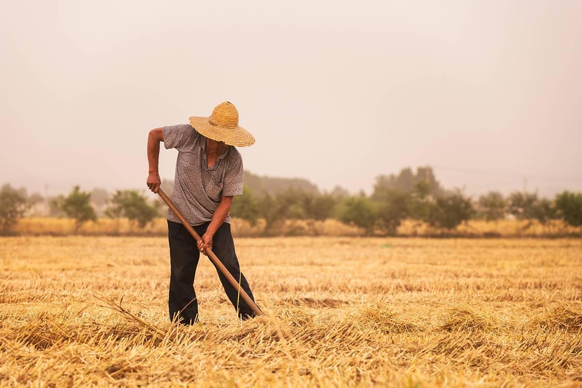 交公粮等于交社保？如何让农民老有所养2026年全国两会期间，人大代表雷茂端提