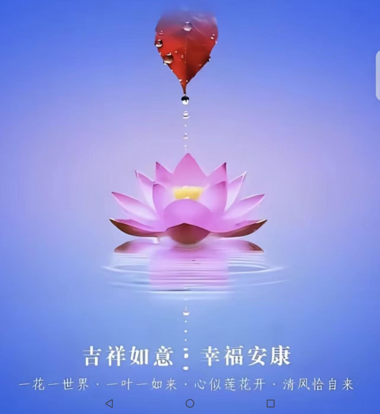 時光遠去已不返，暮年花甲也瀟灑，夕陽雖短依風光，善緣情誼人長久，惦念牽掛