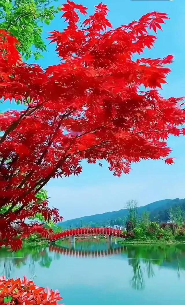 天生适合当领导的人，都有这6个藏不住的特质1. 遇事稳得住，天塌下来先解