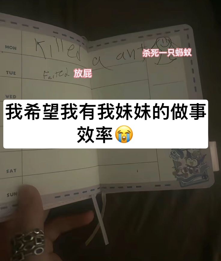 高效王meme​​​