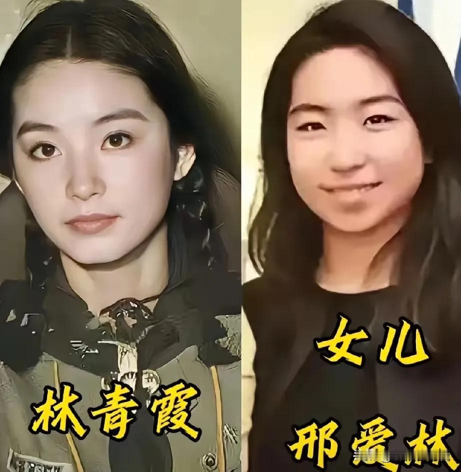 有一个乖巧可爱的女儿，明星妈妈们有福气。林青霞与女儿的同框照片展示了两位女性的