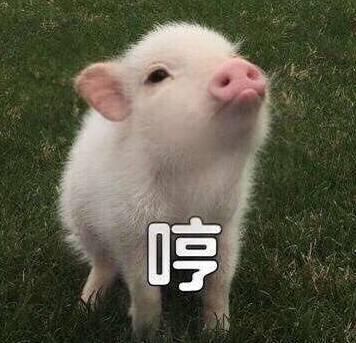 美国最新研究指出, 女生一直瘦不下来, 或因另一半不够帅!