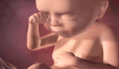 除了睡觉胎儿还在妈妈肚子里做什么? 其实宝宝为了妈妈很努力