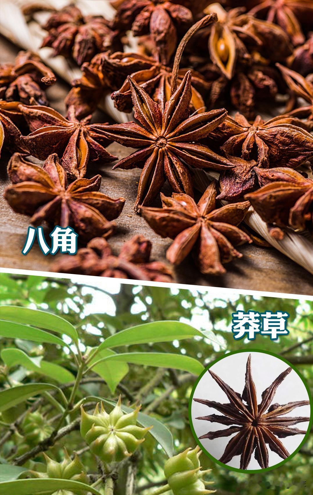 “太危险了！”近日，浙江临城，黄女士在家里做饭，煮牛肉时放了颗八角，牛肉煮好后，