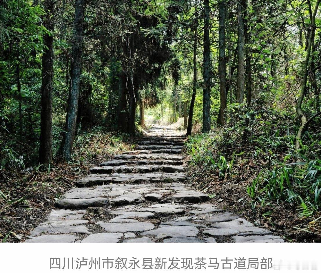 考古川南考古工作站考古四川省文物考古研究院与泸州市合作共建的川南考古工作站于