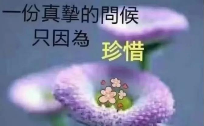 岁月无情人有情，牵挂始终在心中！山水含情怡人生，有缘风雨一路行。真情相伴