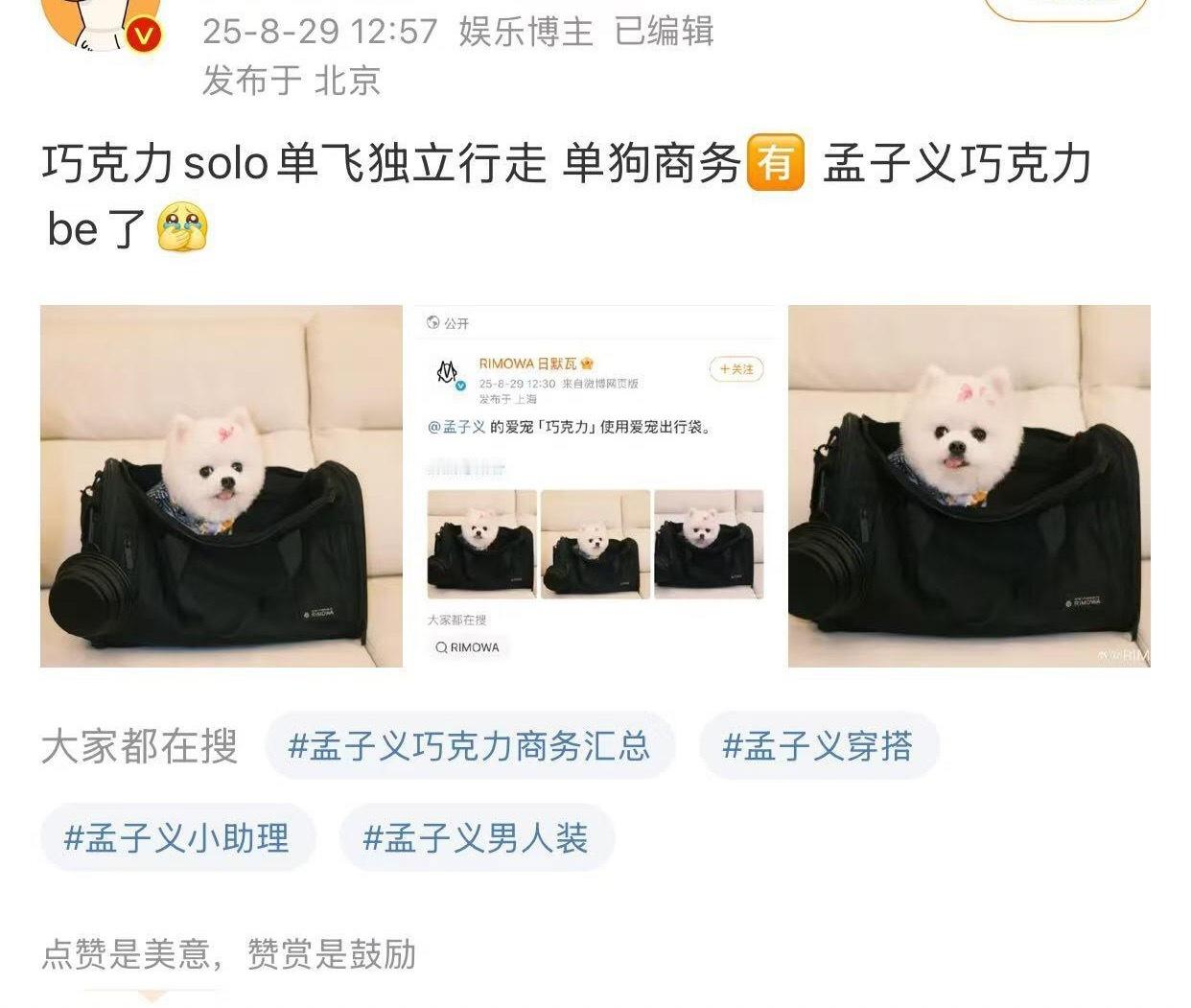 孟子义的狗巧克力已经有自己的单狗商务了，狗界顶流！！​​​