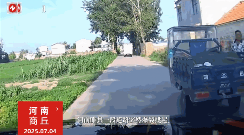 “这就是命啊！”7月4日，河南商丘，一男子开车经过乡道时，因为让行了一辆三轮车，