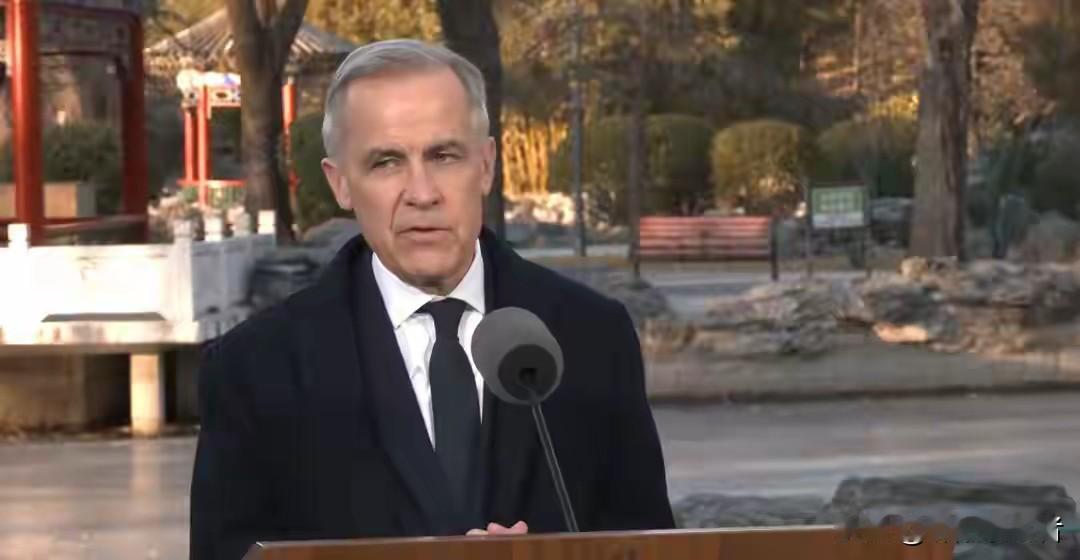 加拿大总理卡尼当面一套，背后一套，65万吨菜籽油刚卖给中国，转身回国就变卦了。